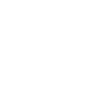 Branding icon